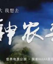 神農(nóng)架申遺成功 中國有哪些世界遺產(chǎn)項目？