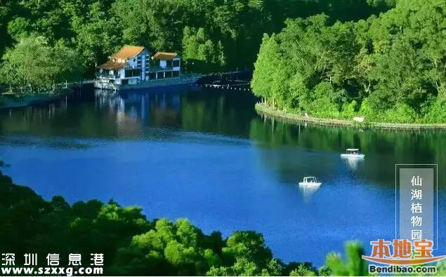 仙湖植物園門票下調(diào)至15元 免費(fèi)時(shí)段不變