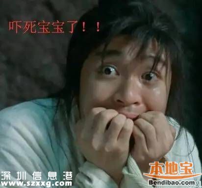 十大劇毒蛇現(xiàn)深圳 市長批示要求全市排查