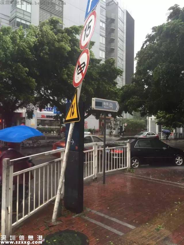 妮妲臺風(fēng)給深圳留下了什么？1313棵樹被摧毀
