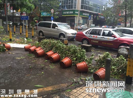 妮妲臺風(fēng)給深圳留下了什么？1313棵樹被摧毀