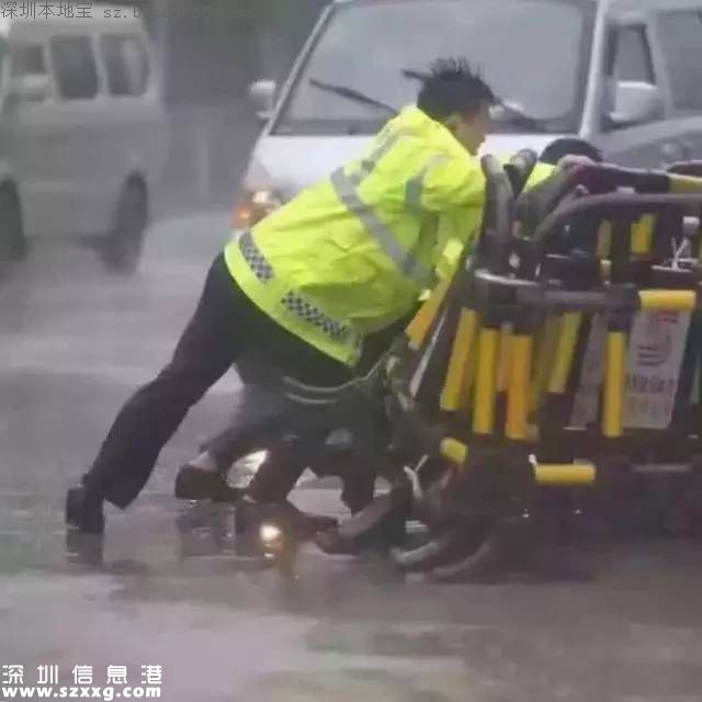 妮妲臺風(fēng)給深圳留下了什么？1313棵樹被摧毀