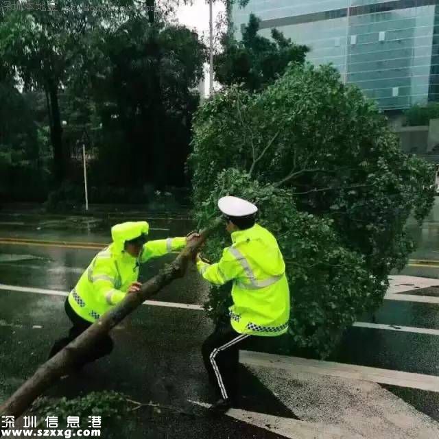 臺(tái)風(fēng)妮妲在深圳的全部歷程 從出生到結(jié)尾