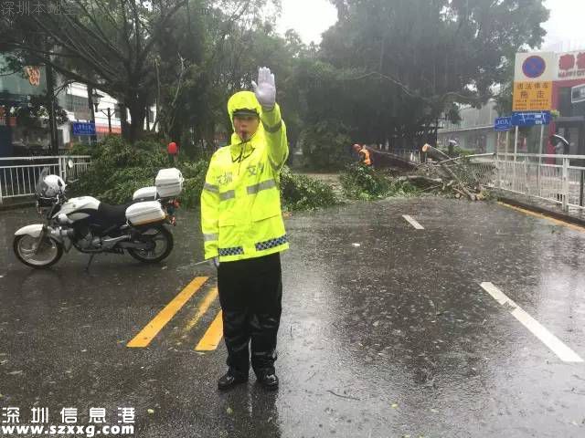 臺(tái)風(fēng)妮妲在深圳的全部歷程 從出生到結(jié)尾