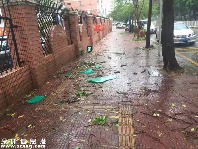 臺(tái)風(fēng)妮妲在深圳的全部歷程 從出生到結(jié)尾