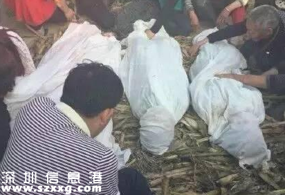 孩子掉入帶電水池 利用正確步驟救人很重要(組圖)
