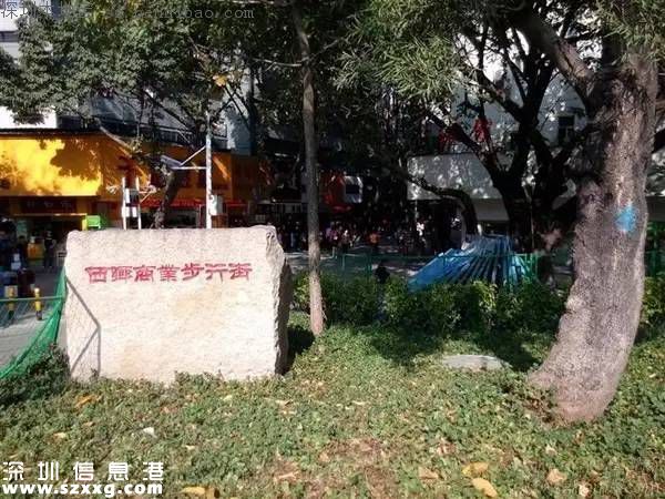 臺風(fēng)中1313棵樹被摧毀 倒伏的樹木如何處置？