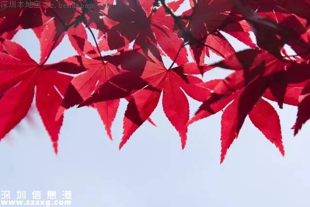 立秋是什么意思？立秋三候是啥？