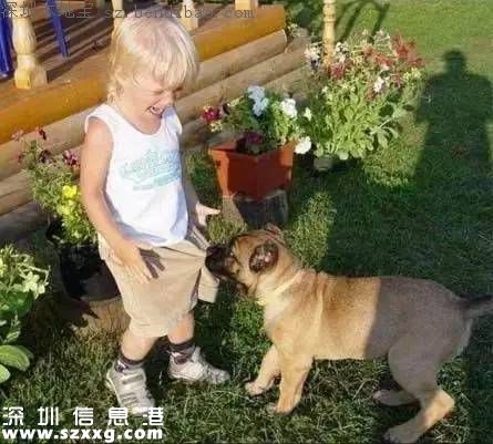 深圳4歲男童22樓墜落身亡 暑假遠(yuǎn)離6大奪命殺手