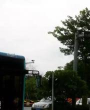深圳電子標(biāo)識卡都在哪？