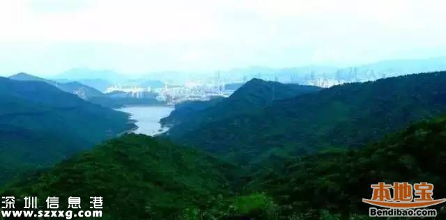 深圳地鐵7號(hào)線洪湖站實(shí)景圖曝光 吃喝玩樂最牛線
