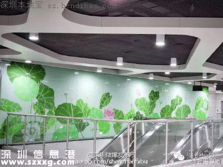 深圳地鐵7號(hào)線洪湖站實(shí)景圖曝光 吃喝玩樂最牛線