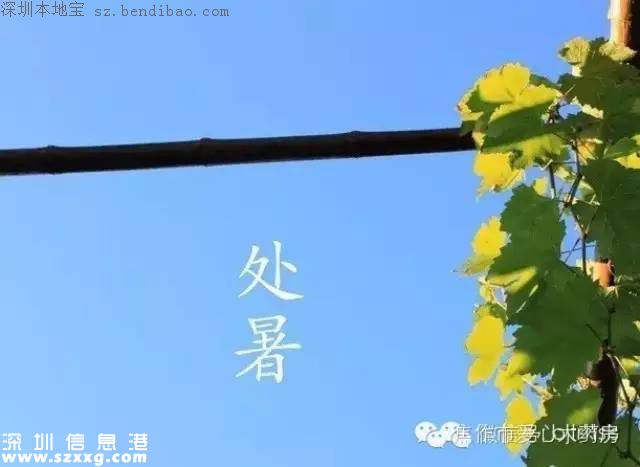 處暑是什么意思？代表什么？