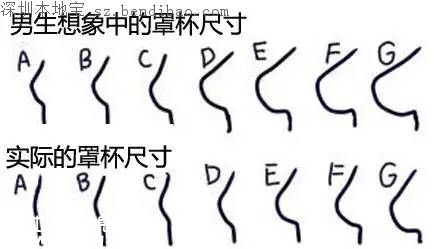 全球女性胸部地圖 為啥亞洲女性胸部小?