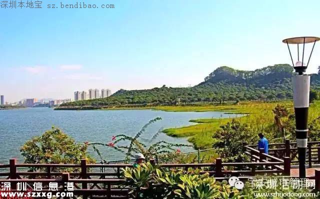 深圳立新湖三期或元旦開放 不去杭州就能游玩西湖