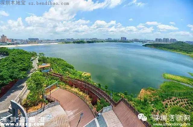 深圳立新湖三期或元旦開放 不去杭州就能游玩西湖