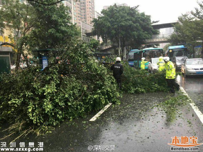 臺(tái)風(fēng)海馬威力有多大？臺(tái)風(fēng)下的深圳街頭