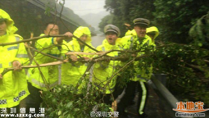 臺(tái)風(fēng)海馬威力有多大？臺(tái)風(fēng)下的深圳街頭