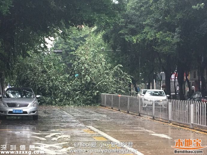 臺(tái)風(fēng)海馬威力有多大？臺(tái)風(fēng)下的深圳街頭