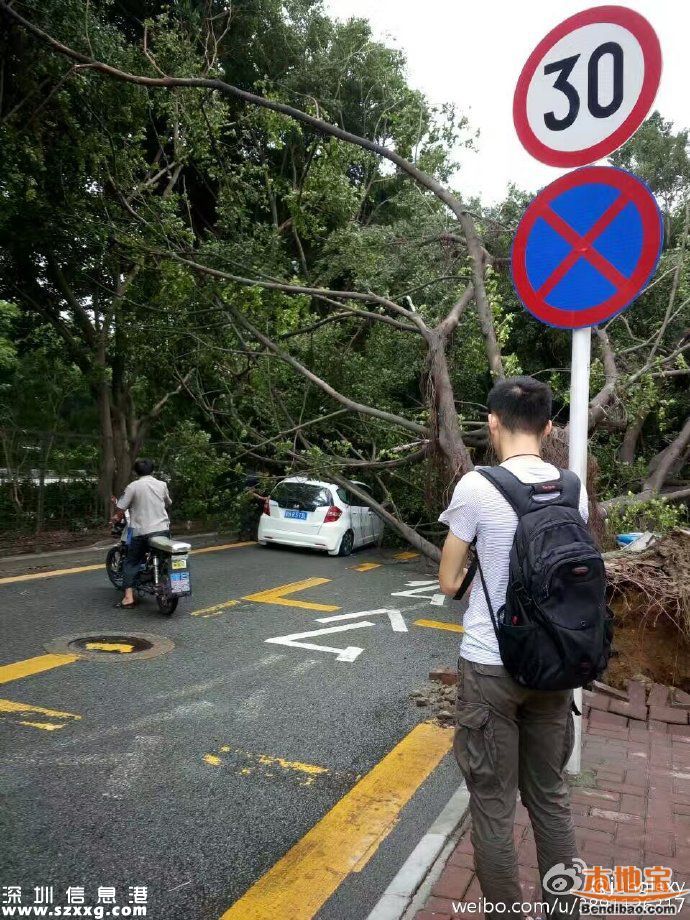 臺(tái)風(fēng)海馬威力有多大？臺(tái)風(fēng)下的深圳街頭