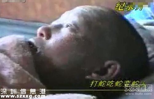 打蛇吃蛇無數(shù)竟變“蛇人” 