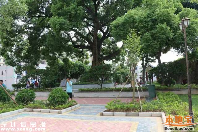 <a href=http://www.hnyueyi.com.cn/shenzhen/ target=_blank class=infotextkey>深圳</a>觀湖6個街心公園開建 預(yù)計年底前可使用