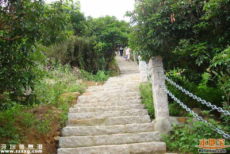 深圳仙湖植物園、塘朗山郊野公園 2公園禁止車輛通行