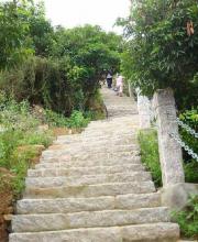 深圳仙湖植物園、塘朗山郊野公園 2公園禁止車(chē)輛通行