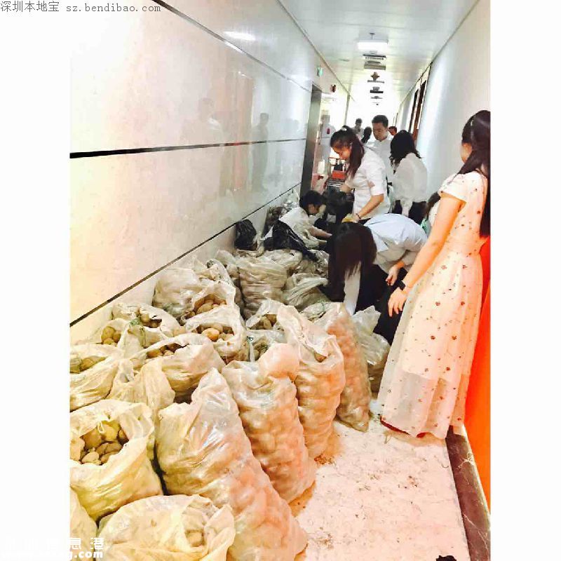 深圳市民一夜買光近32噸土豆 只為讓六旬老人早日回家