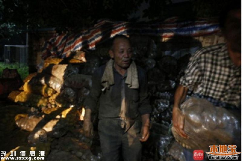 深圳市民一夜買光近32噸土豆 只為讓六旬老人早日回家