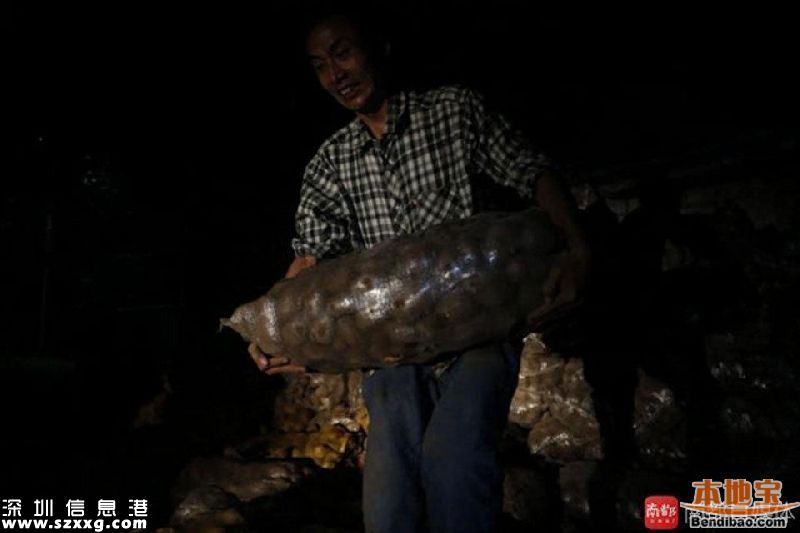 深圳市民一夜買光近32噸土豆 只為讓六旬老人早日回家