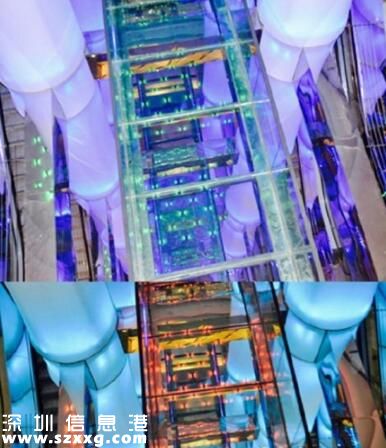 高校現(xiàn)最酷圖書館 別人家的高校就是好
