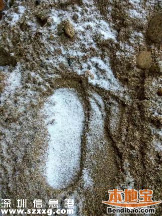 2016廣東首場(chǎng)雪在清遠(yuǎn) 前兩天還在穿短袖