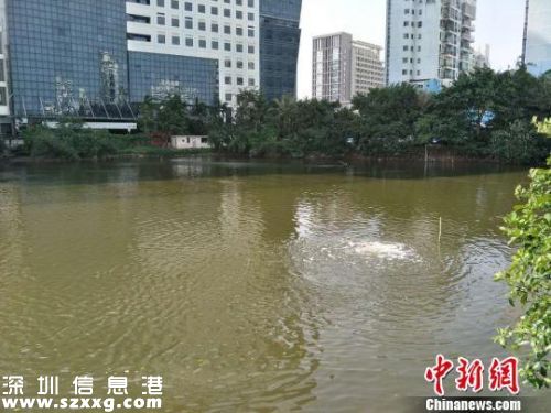 2018推行河長制 什么是河長制？（全文）
