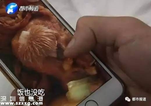 河南男子吃黃燜雞米飯吃出帶毛肉 上面還有一對牙