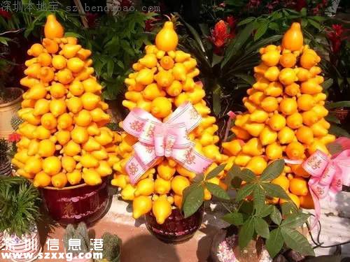 春節(jié)買什么年花？不同花有什么不同寓意？