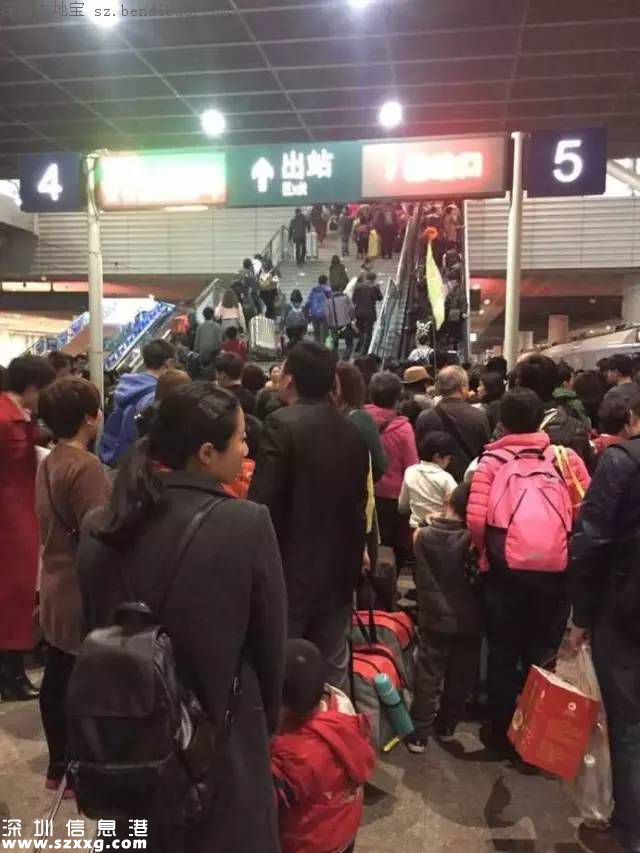 深圳新開3條夜班專線 部分公交延長(zhǎng)運(yùn)營(yíng)時(shí)間