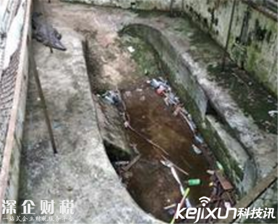 ?？趧游飯@成煉獄：滿眼全都是動物尸體 太可怕