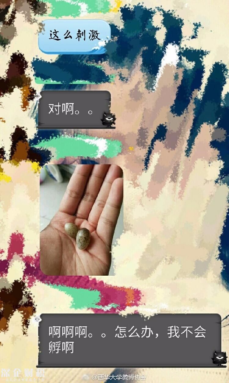 男生常年不收衣服 鳥在衣服里筑巢下蛋