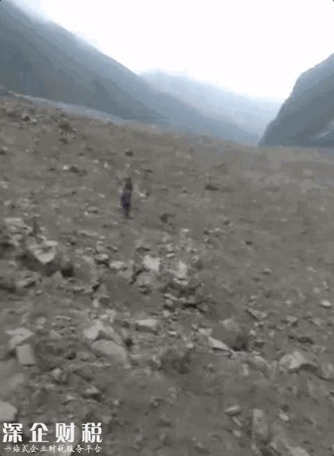 文章圖片5