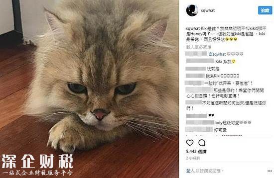 舒淇馮德倫曝離婚 網(wǎng)上胡編亂造謠言四起令市民不知該不該信