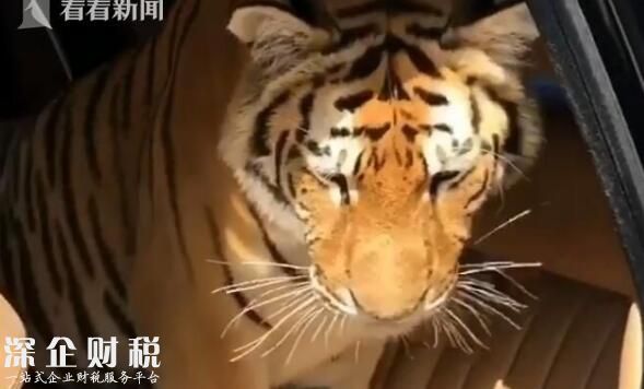 富二代炫富引爭(zhēng)議網(wǎng)上罵聲一片 視頻曝光富二代奢適生活